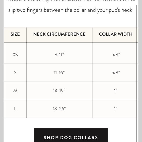 New Without Tag Butterfly Dog Collar - Picture 4 of 4